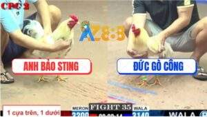 Trận 35 CPC2 6/6/2025 - Đúng Mẻ Hiệu IDol Bảo Sting Đá 2 Cước Lấy Tiền