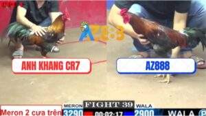 Trận 39 CPC1 5/6/2025 - Gà Điều Xóm Gà AZ Kém 3 Chấm Đâm Đối Thủ Te Tua