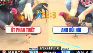 Trận 6 CPC2 9/6/2025 - Anh Út Và Anh Bùi Hải Bất Phân Thắng Bại