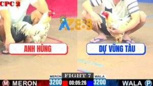 Trận 7 CPC2 8/6/2025 - Bướm Anh Hùng Có Chân Chí Mạng Hạ Bướm Anh Dự