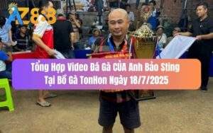 Tổng Hợp Video Đá Gà Anh Bảo Sting Tại Bồ Gà TonHon Ngày 18/7/2025