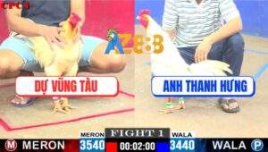 Trận 1 CPC1 3/7/2025 - Gà Anh Thanh Hưng Né Hay Ra Đòn Hiểm Hạ Đối Thủ