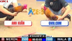 Trận 1 CPC1 5/7/2025 - GVUI.COM Nổ Phát Súng Đầu Tiên Lụm Xổ Quá Đẹp