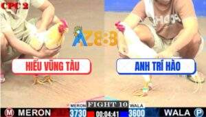 Trận 10 CPC2 25/7/2025 - Bướm Anh Hiếu Mai Độ Phản Đá Gà Úa Ói Đen Đầu