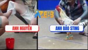 Trận 11 Bồ TonHon 18/7/2025 - Bướm Hiệu Bảo Sting Ra Quân Bị Đá Xì Cơm