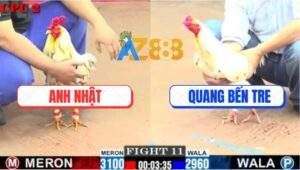 Trận 11 CPC2 11/7/2025 - Bướm Anh Quang Chết Tới Có Chân Cứu Chủ