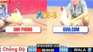 Trận 13 CPC1 3/7/2025 - Bướm Anh Phong Lên 2 Đá Bướm GVUI.COM Bay Bồ