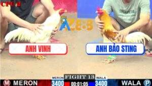 Trận 13 CPC2 9/7/2025 - Camelo Anh Bảo Sting Đá Bướm Ói Xong Quay Xe