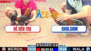 Trận 14 CPC1 3/7/2025 - Điều Đuôi Lao GVUI.COM Đâm Cây Nào Thấm Cây Đó