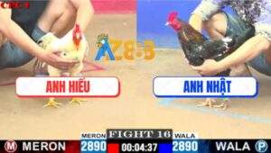 Trận 16 CPC1 19/7/2025 - Bướm Anh Hiếu Nhấp Nhẹ Mấy Chân Bông Gãy Giò