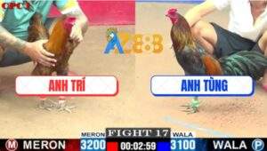 Trận 17 CPC1 5/7/2025 - Khét Cọp Anh Trí Đâm Phát Nào Dính Phát Đó