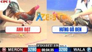 Trận 19 CPC1 28/7/2025 - Gà Điều Anh Đạt Đá Bạc Còn Ăn 1 Quay Xe Chạy