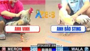 Trận 19 CPC2 2/7/2025 - Bướm Hiệu Idol Bảo Sting Đá 3 Chân Có Kết Quả