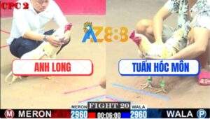 Trận 20 CPC2 4/7/2025 - Bướm Cọp Anh Long Dỡ Giò Là Nhảy Ăn Mừng