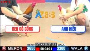 Trận 21 CPC1 8/7/2025 - Bướm Hiếu Nhỏ Mà Đâm Cựa Quá Tịch