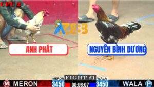 Trận 21 CPC2 23/7/2025 - Điều Đá Nhiều Không Bằng Bướm Đá 1 Chân