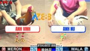 Trận 22 CPC2 25/7/2025 - Bướm Hiệu Bảo Sting Đá Không Kịp Tha Lơ