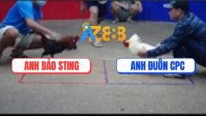 Trận 23 Bồ TonHon 18/7/2025 - Điều Cọp Anh Bảo Sting Đâm Cựa Như Chỉa