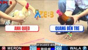 Trận 23 CPC2 11/7/2025 - Anh Quẹo Quá Đen Ra 2 Con Bỏ Chạy Cả Đôi