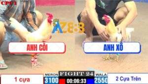 Trận 24 CPC1 22/7/2025 - Camelo Anh Xô Đá Úa Ói Vô Trong Bỏ Chiến Công