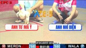 Trận 25 CPC2 4/7/2025 - Anh Tư Mã Ý Hạ Anh Nhí Biện Chỉ Sau 1 Tay Nước