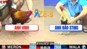 Trận 26 CPC2 9/7/2025 - Gà Điều Đâm Chuối Nhập Bảo Sting Như Cái Rổ