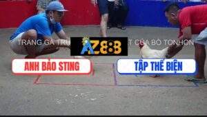 Trận 27 Bồ TonHon 18/7/2025 - Úa Hiệu Anh Bảo Sting Đá Cựa Quá Nghiệt