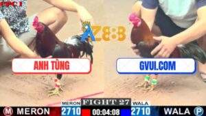 Trận 27 CPC1 3/7/2025 - Điều Cọp GVUI.COM Đâm Tàn Phế Gà Điều Anh Tùng