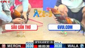 Trận 3 CPC1 3/7/2025 - Điều Cọp GVUI.COM Đá Đối Thủ Xì Cơm Bung Bồ