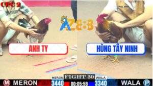 Trận 30 CPC2 4/7/2025 - Gà Khét Anh Hùng Gửi Hàng Sáu Một Vé Ra Đảo