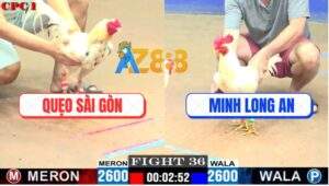 Trận 36 CPC1 19/7/2025 - Bướm Anh Minh Phản Được Mấy Chân Cứu Chủ