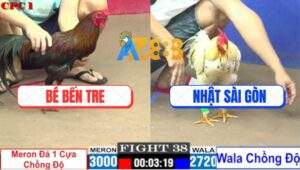 Trận 38 CPC1 7/7/2025 - Bướm Anh Nhật Chồng Độ Hạ Que Cọp Bảo Sting