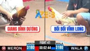 Trận 41 CPC3 8/7/2025 - Điều Anh Giang Đâm Bướm Bối Bối Ra Máu Lỏng