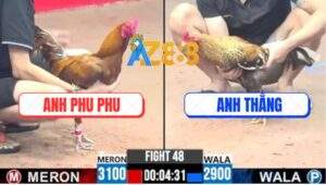 Trận 48 CPC3 12/7/2025 - Thuốc Phu Phu Quá Tốt Khét Lướt Ói Đá Cú Chạy