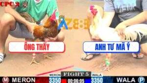 Trận 5 CPC2 11/7/2025 - Bướm Anh Tư Mã Ý Tiễn Khét Ông Thầy Lên Đường