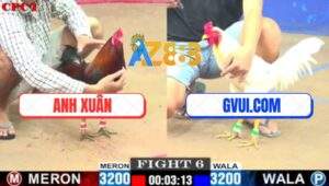 Trận 6 CPC1 5/7/2025 - Bướm Hiệu GVUI.COM Không Có Chân Dứt Điểm