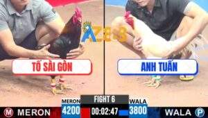 Trận 6 CPC3 12/7/2025 - Điều Cọp Anh Tố Sài Gòn Đá 1 Chân Úa Bay Bồ