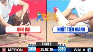 Trận 6 CPC3 26/7/2025 - Khét Gãy Giò Vẫn Hạ Úa Hiệu Anh Bảo Sting