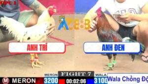 Trận 7 CPC1 17/7/2025 - Điều Xanh Chân Xanh Anh Đen Lên Lớp Thành Công