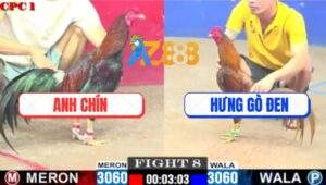 Trận 8 CPC1 3/7/2025 - Gà Điều Anh Chín Chưa Thả Ăn 5 Và Cái Kết