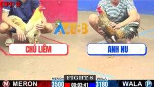 Trận 8 CPC2 20/7/2025 - Anh Nu Lại Lụm Xổ 200 Dù Chấp 3 Chấm Gà