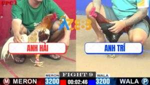 Trận 9 CPC1 5/7/2025 - Gà Điều Anh Trí Đâm Camelo Không Kịp Tránh Né