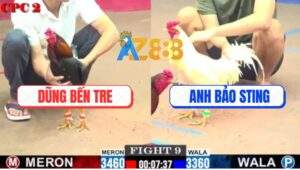 Trận 9 CPC2 16/7/2025 - Điều Canh Chặn Hay Đá Úa Bảo Sting Té Hết Cứu