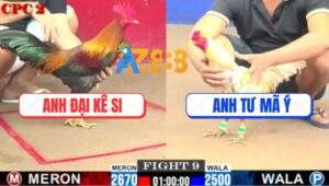 Trận 9 CPC2 23/7/2025 - Camelo Anh Tư Mã Ý Gãy 2 Cánh Vẫn Phản 5 Lai