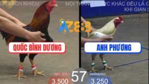 Trận 57 TonHon 27/8/2025 - Anh Bảo Sting Thả Giùm Bị Đá Té Cắm Đầu