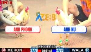 Trận 15 CPC2 6/8/2025 - Anh Phong Kẻ Hủy Diệt Cánh Bảo Sting Hôm Nay