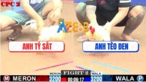 Trận 2 CPC2 3/8/2025 - Bướm Hiệu Anh Tèo Đen Lê Va Phải Cục Sắt