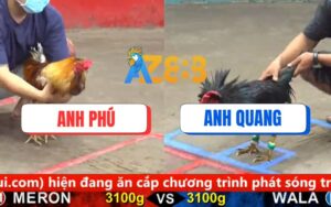 Trận 13 CPC5 Ngày 17/08/2025