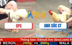 Trận 14 CPC5 Ngày 17/08/2025
