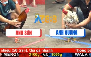 Trận 15 CPC5 Ngày 17/08/2025